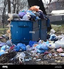 Recycling Services for Junk in Windsor, IL