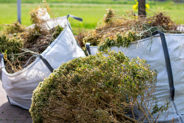 Moving and Downsizing Cleanouts in Windsor, IL